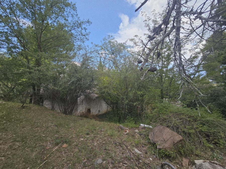 0 Bedroom Property for Sale in Ladybrand Free State